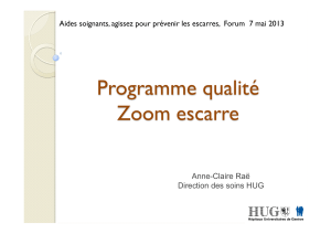 Programme qualité Zoom escarre Anne-Claire Raë Direction des soins HUG