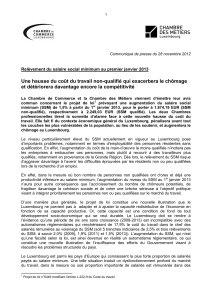 Communique_CC_CDM_SSM_2012_11_28.pdf