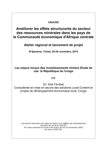 Les enjeux locaux des investissements miniers Etude de cas: la République du Congo, Dr. Inès Féviliyé, Consultante en mise en oeuvre des solutions Local Content