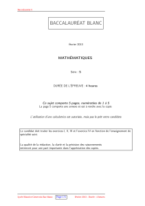 TS-bacblancfevrier2013.pdf (79.59 KB)