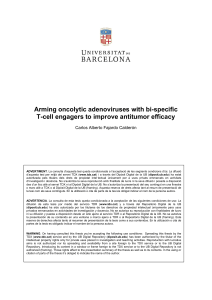 Arming oncolytic adenoviruses with bi-specific T-cell engagers to improve antitumor efficacy