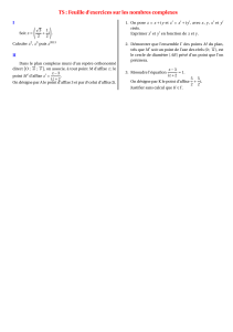 TS-complexes-Feuilleexos_1_.pdf (19.1 KB)