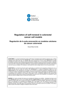 Regulation of self-renewal in colorectal cancer cell models