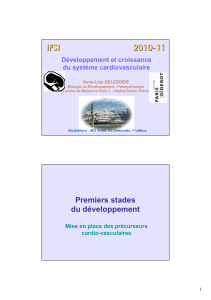 IFSI 2010 - 11