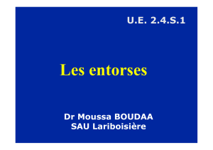 Les entorses U.E. 2.4.S.1 Dr Moussa BOUDAA SAU Lariboisière