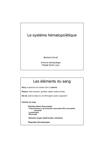 Le système hématopoïétique Les éléments du sang Bertrand Arnulf Immuno-hématologie