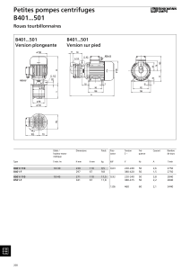 Petites pompes centrifuges B401...501 Roues tourbillonnaires Version plongeante
