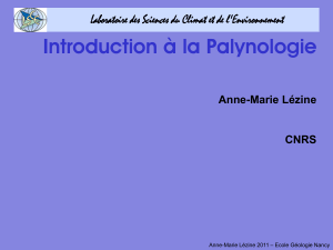 Introduction à la Palynologie Anne-Marie Lézine CNRS – Ecole Géologie Nancy