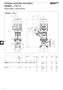 Pompes verticales monobloc SBG801...1101-V Roues axiales / semi-ouvertes