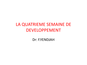 LA QUATRIEME SEMAINE DE DEVELOPPEMENT Dr: F.YENDJAH