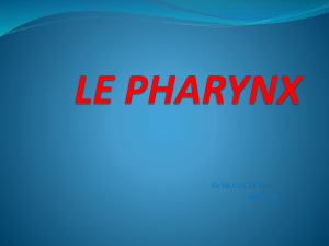Pharynx et sophage