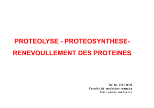 PROTEOLYSE - PROTEOSYNTHESE- RENEVOULLEMENT DES PROTEINES