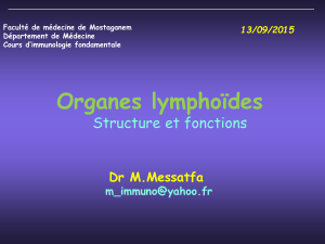 Organes lymphoïdes Structure et fonctions Dr M.Messatfa