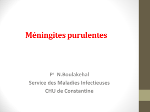 Méningites purulentes P N.Boulakehal Service des Maladies Infectieuses