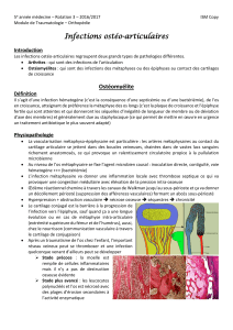 Infections ost o-articulaires