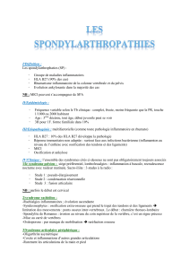 I/Définition : Les spondylarthrophaties (SP) :  Groupe de maladies inflammatoires