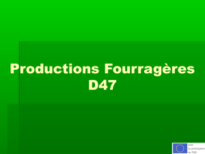 Productions Fourragères D47
