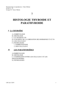 7 HISTOLOGIE THYROIDE ET PARATHYROIDE I. LA THYROÏDE