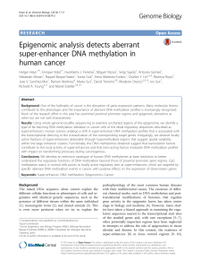 Epigenomic analysis detects aberrant super-enhancer DNA methylation in human cancer