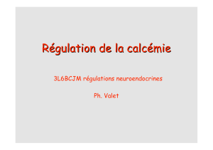 Régulation de la calcémie  3L6BCJM régulations neuroendocrines Ph. Valet