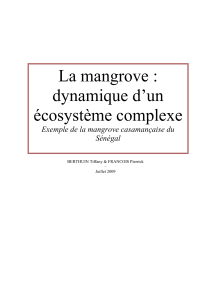 La mangrove : dynamique d’un écosystème complexe Exemple de la mangrove casamançaise du