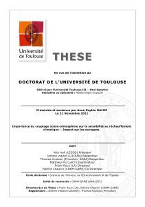 THESE DOCTORAT DE L’UNIVERSITÉ DE TOULOUSE