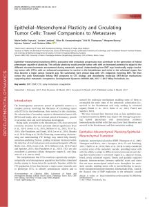 Epithelial–Mesenchymal Plasticity and Circulating Tumor Cells: Travel Companions to Metastases REVIEWS