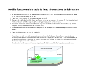 Modèle fonctionnel du cycle de l’eau : instructions de fabrication