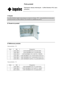 Fiche produit 1/ Emploi Distribution réseaux électriques – Coffret Distribox PCC sans protection.