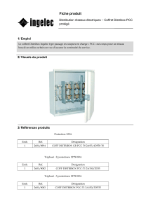 Fiche produit 1/ Emploi Distribution réseaux électriques – Coffret Distribox PCC protégé
