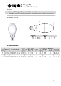 Fiche produit Lampes  HID mixte- Eclairage  1/ Emploi