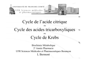 Cycle de l’acide citrique Cycle des acides tricarboxyliques Cycle de Krebs L Bermont