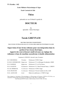 Thèse  DOCTEUR Tarak GHENNAM