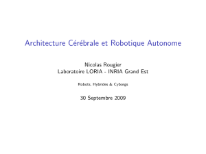 Architecture C´ er´ ebrale et Robotique Autonome Nicolas Rougier