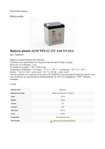 Batterie plomb AGM NP4-12 12V 4Ah YUASA