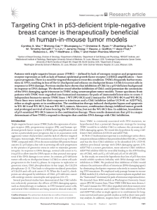 Targeting Chk1 in p53-deficient triple-negative breast cancer is therapeutically beneficial