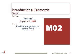 M02 Introduction à l anatomie ’