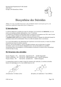 Biosynthèse des Stéroïdes