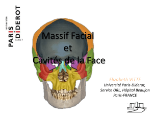 Massif Facial et Cavités de la Face Elizabeth VITTE