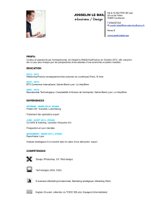 e-business / Design JOSSELIN LE BAIL