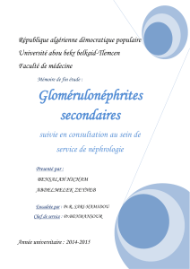 Glomerulonephrites-secondaire.pdf