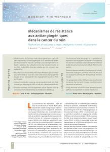 Mécanismes de résistance   aux antiangiogéniques   dans le cancer du rein Mechanisms of resistance to angio-angiogenics in renal cell carcinoma