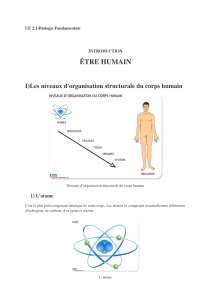 ÊTRE HUMAIN  I)Les niveaux d'organisation structurale du corps humain 1) L'atome