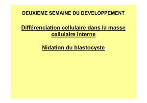 Différenciation cellulaire dans la masse cellulaire interne Nidation du blastocyste