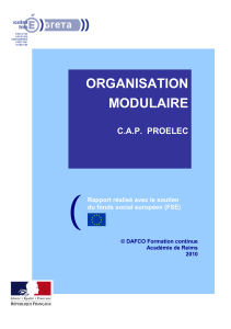ORGANISATION MODULAIRE C.A.P. PROELEC Rapport réalisé avec le soutien