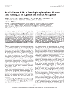 S179D-Human PRL, a Pseudophosphorylated Human