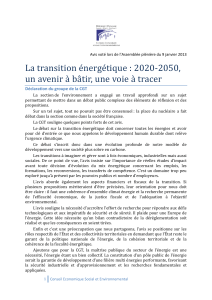 La transition énergétique : 2020-2050, Déclaration du groupe de la CGT