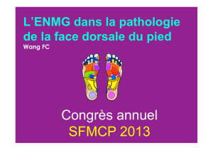 Congrès annuel  SFMCP 2013 ’ENMG dans la pathologie