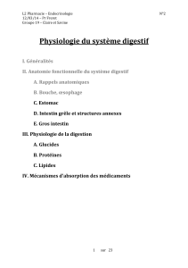 Physiologie du système digestif