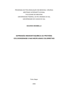 PROGRAMA DE PÓS-GRADUAÇÃO EM MEDICINA: CIRURGIA MESTRADO INTERINSTITUCIONAL FACULDADE DE MEDICINA
